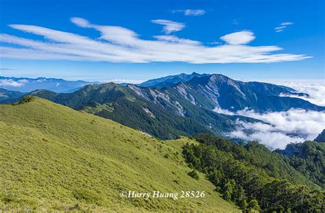 畢祿山